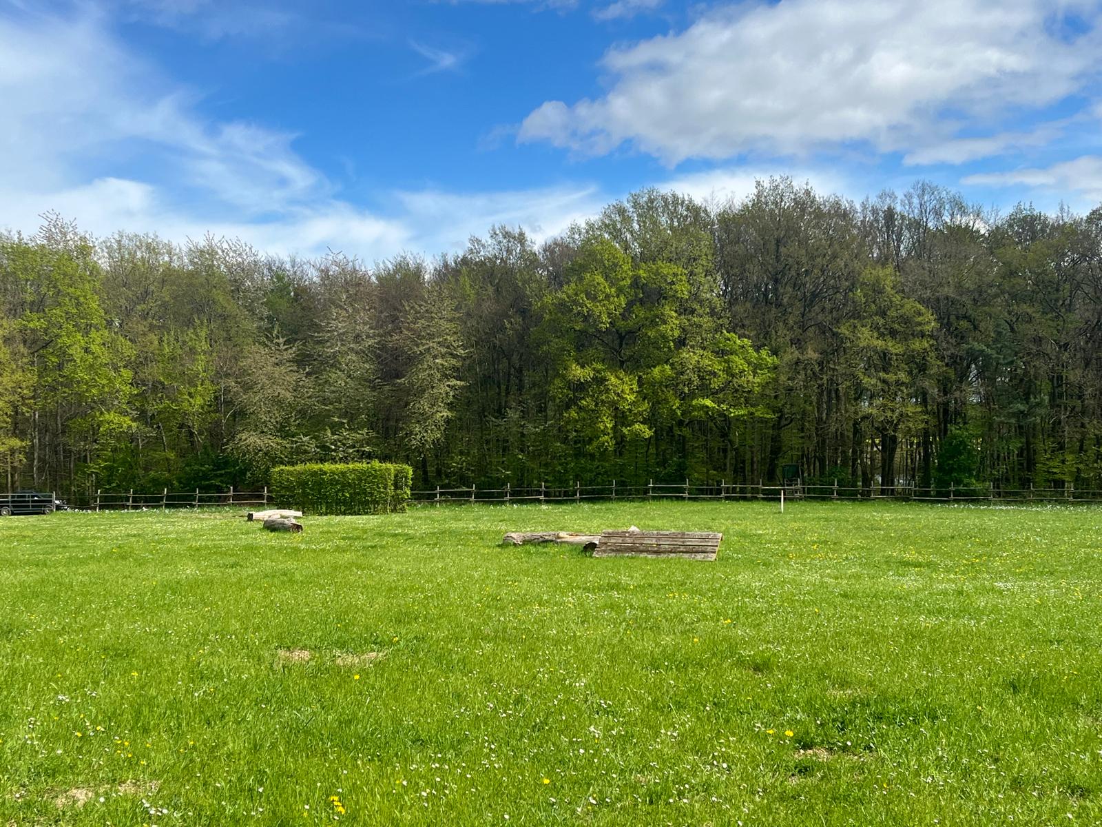 Moderne Pferdepension in Oberzissen - Panorama der Stallanlage von Janina Kraus